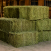 Premium Orchard Grass Hay Bales